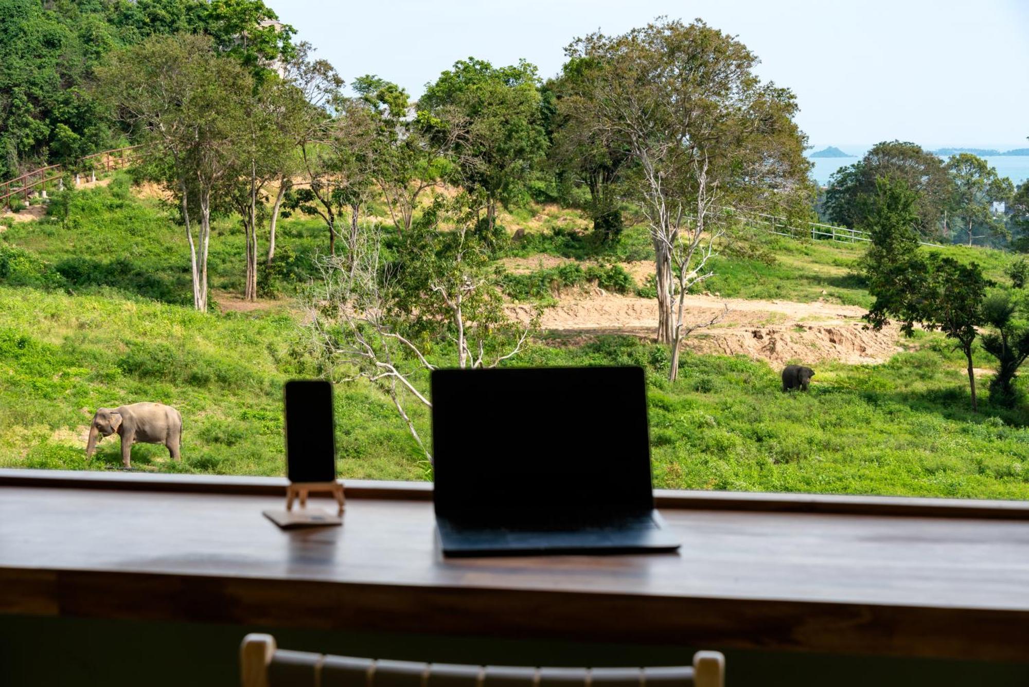 Wild Cottages Elephant Sanctuary Resort Amphoe Koksamui Екстер'єр фото