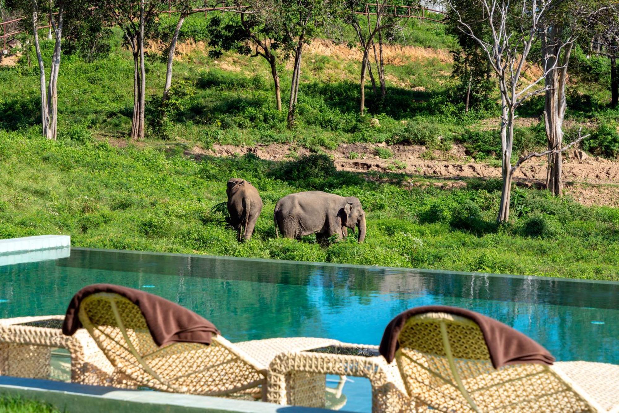 Wild Cottages Elephant Sanctuary Resort Amphoe Koksamui Екстер'єр фото