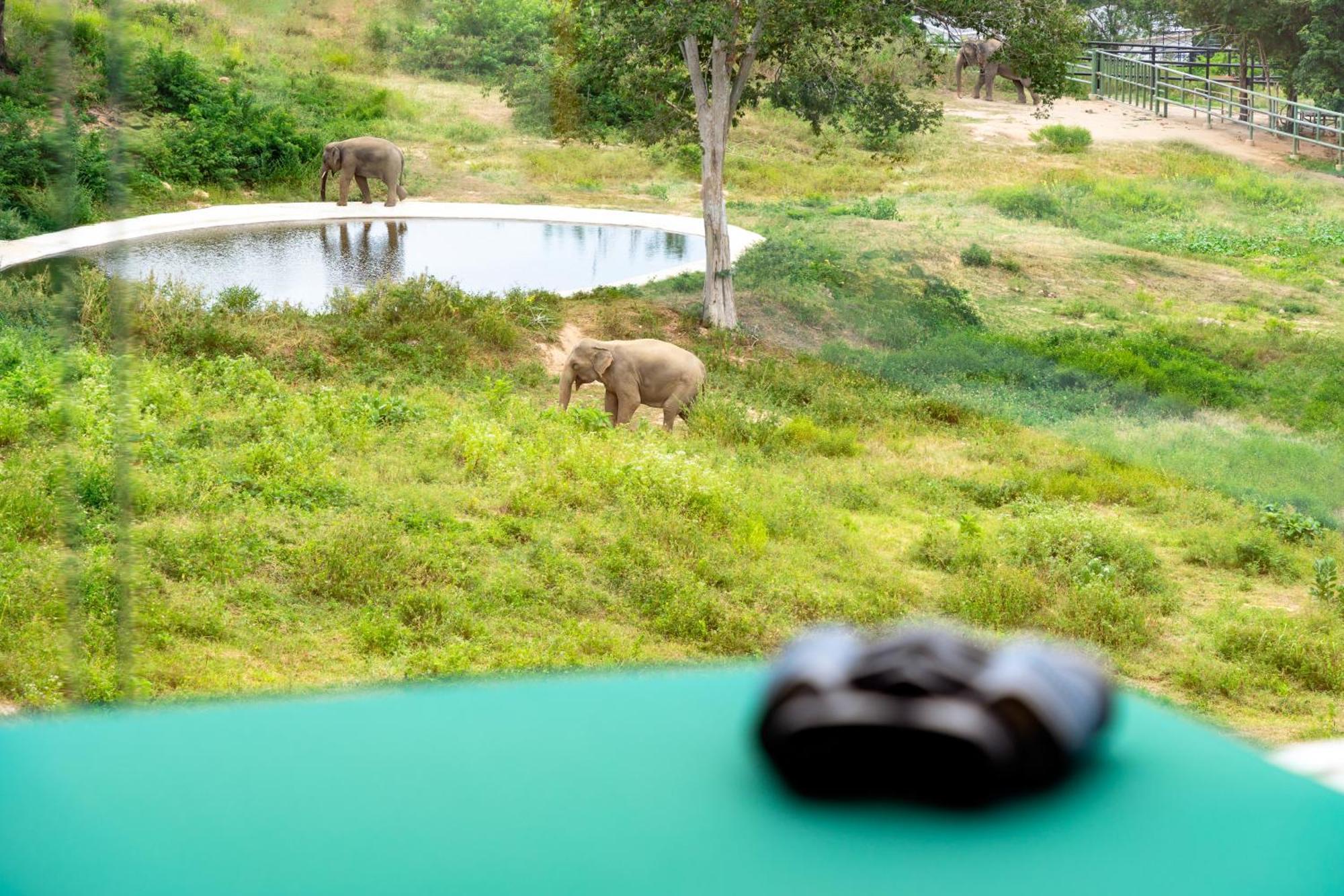 Wild Cottages Elephant Sanctuary Resort Amphoe Koksamui Екстер'єр фото