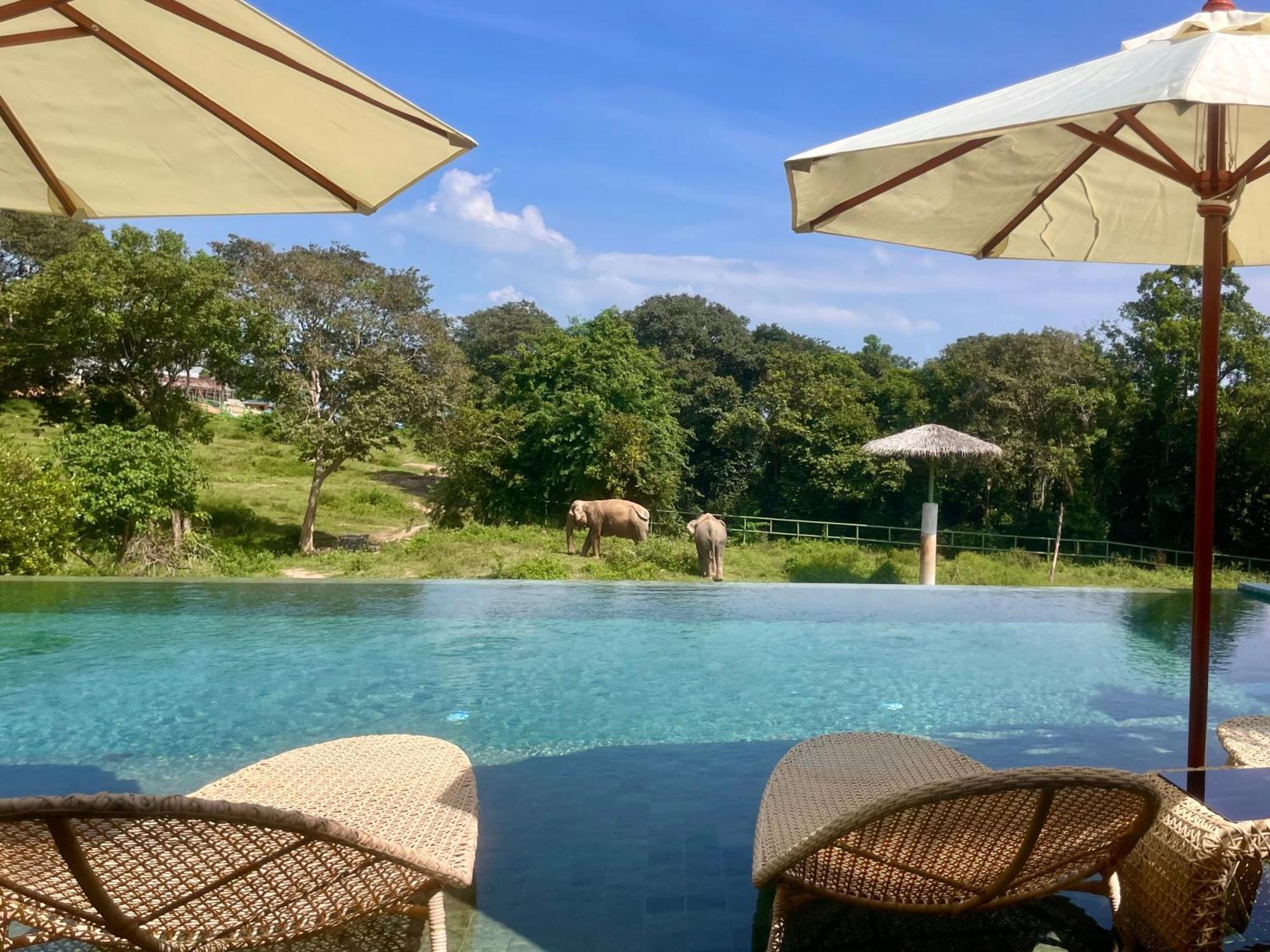 Wild Cottages Elephant Sanctuary Resort Amphoe Koksamui Екстер'єр фото