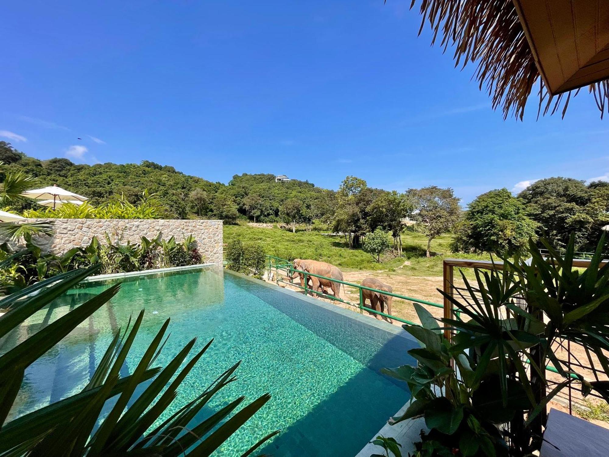 Wild Cottages Elephant Sanctuary Resort Amphoe Koksamui Екстер'єр фото