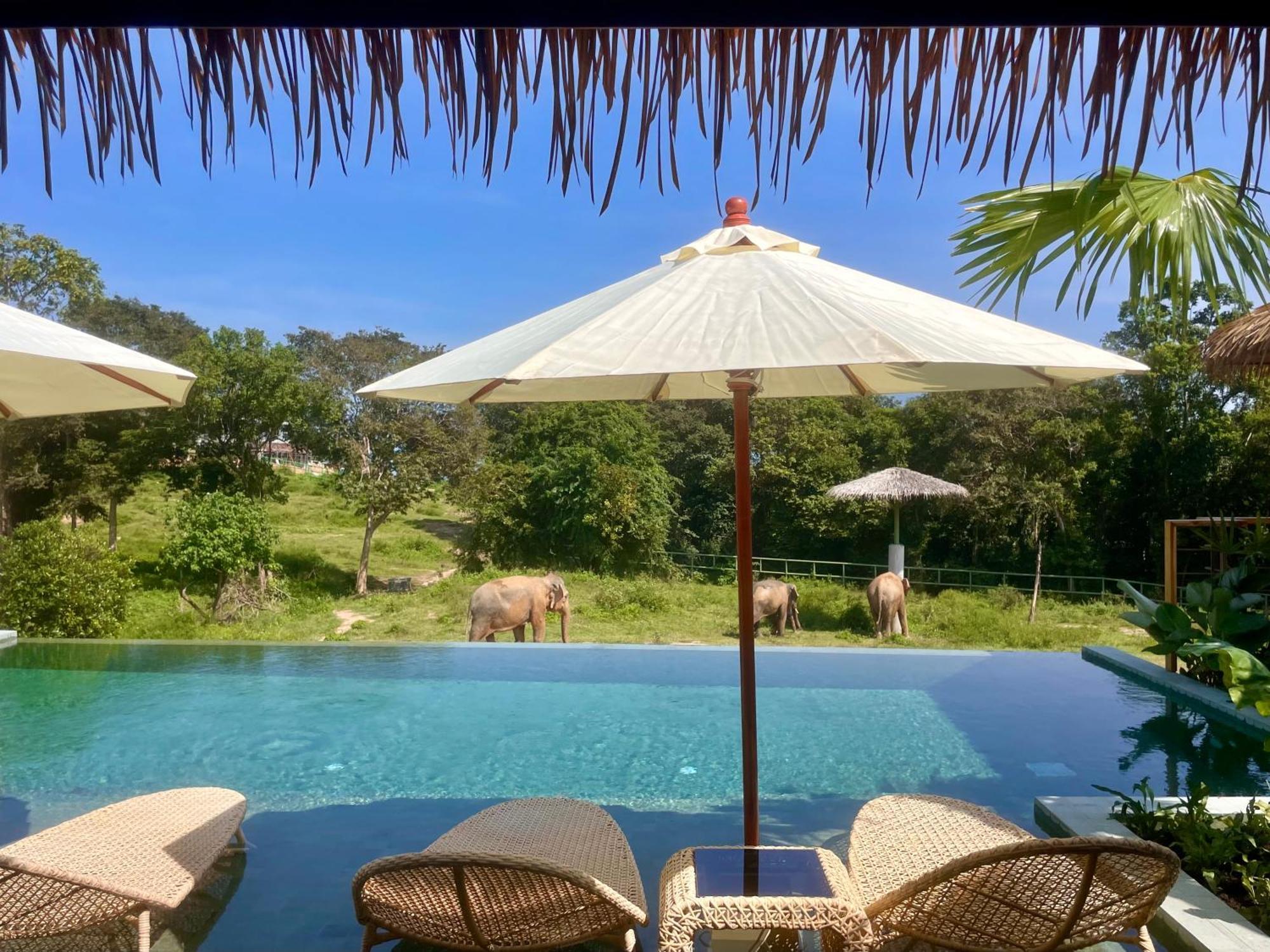 Wild Cottages Elephant Sanctuary Resort Amphoe Koksamui Екстер'єр фото