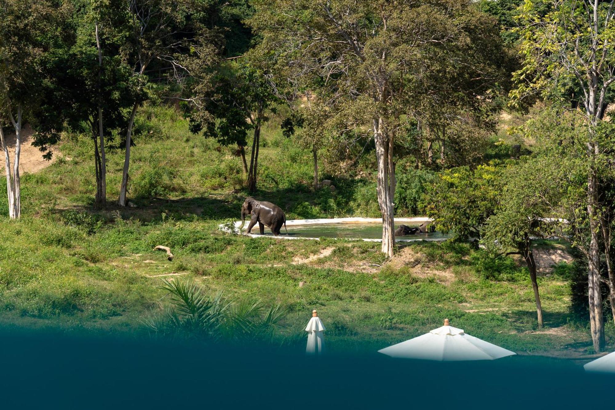 Wild Cottages Elephant Sanctuary Resort Amphoe Koksamui Екстер'єр фото